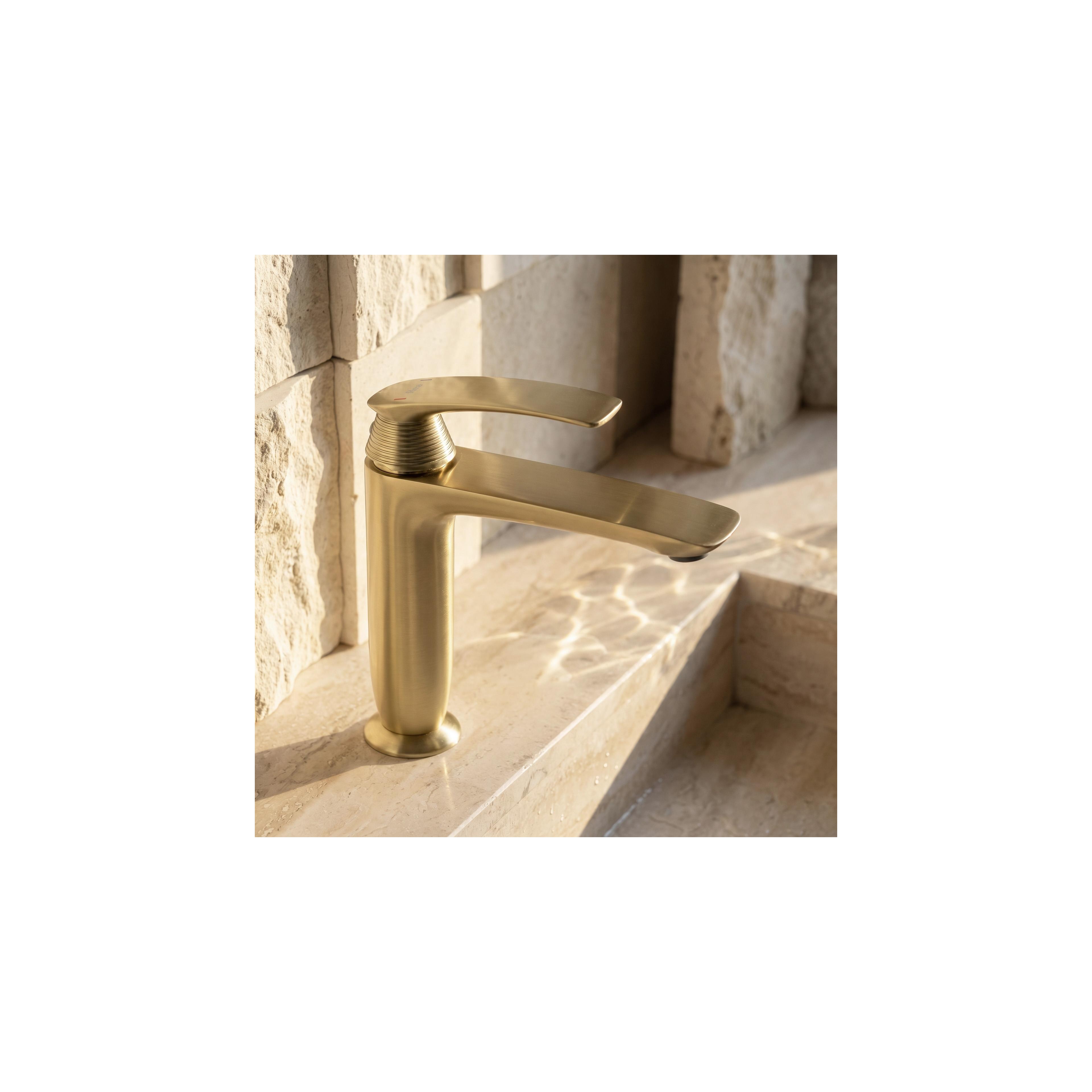 Valamusegisti PREMIUM REA Como Brush Gold Low