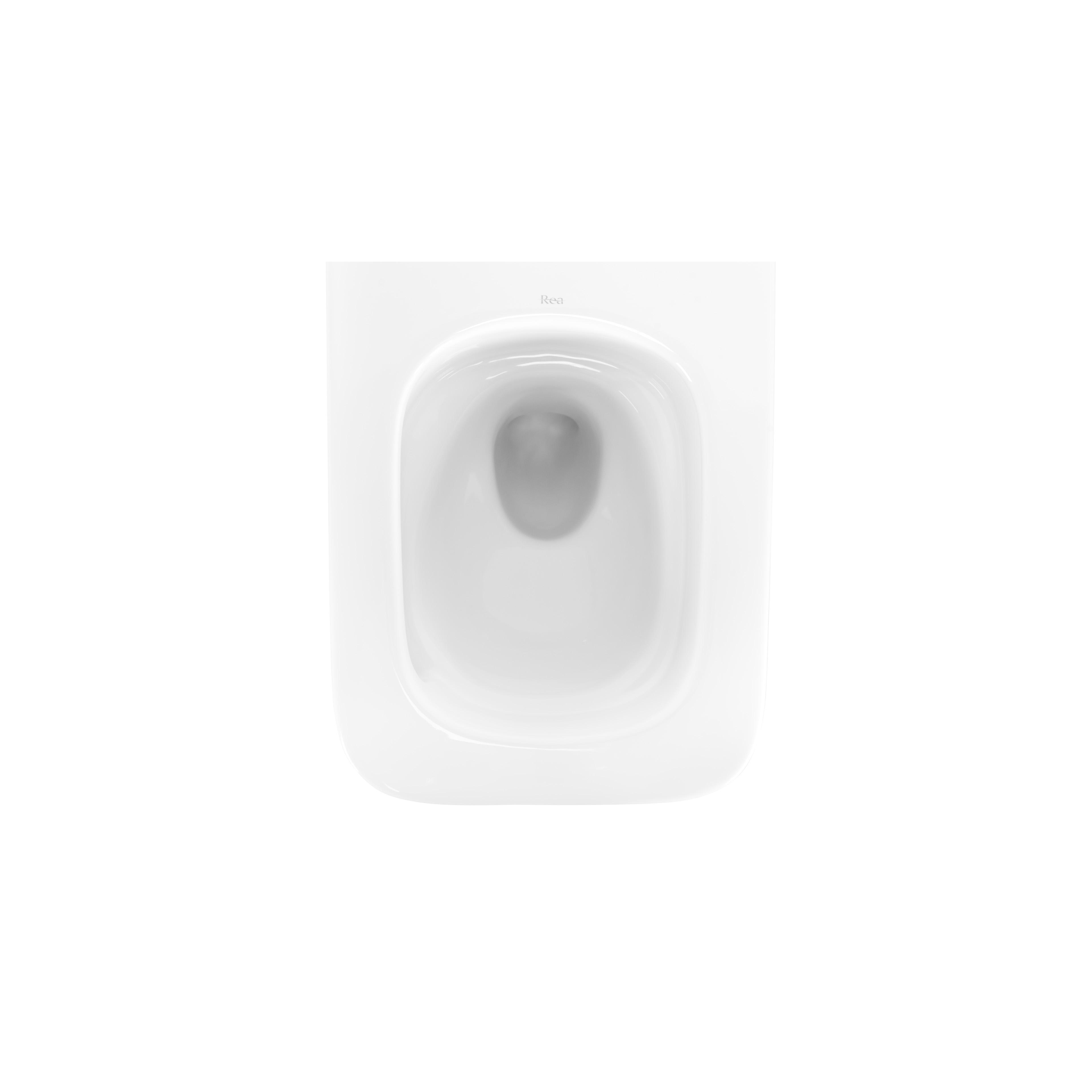WC Schüssel Randlos Rea Dexter Tornado