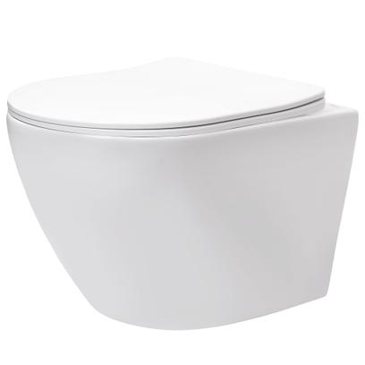 toilet bowl REA Carlo Lux Rimless with bidet function
