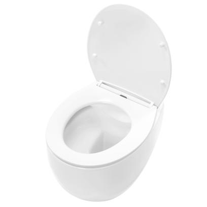 WC misa bez splachovacieho okruhu REA Lars